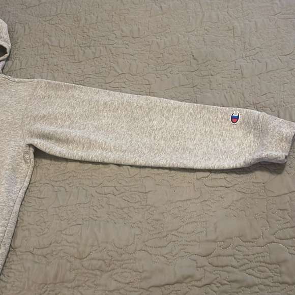 Gray Champion Hoodie - Picture 3 of 8